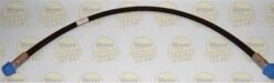 Meyer 22884 Hose 1/4" X 33" Female ORF Swivel - OEM