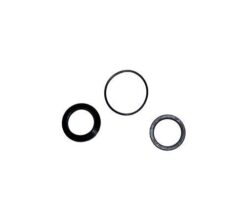 Western 27787 Fisher Seal Kit with PolyPak Seal 1" RAM - OEM