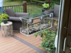 Acrylic suction cup window bird feeder - Image 5