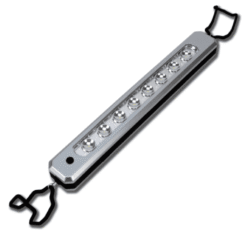 SPECIALTY LIGHTING (GUEST)